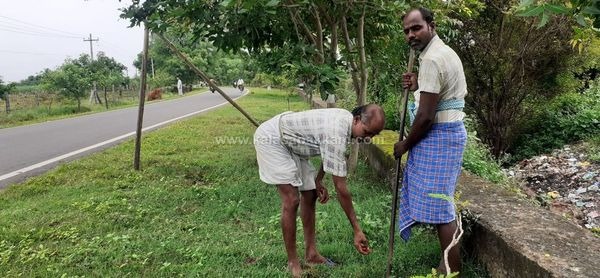 ஆடி 18- ஐ முன்னிட்டு கலசபாக்கம் – பூண்டி சாலையில் விதை பந்துகள் விதைக்கப்பட்டன!