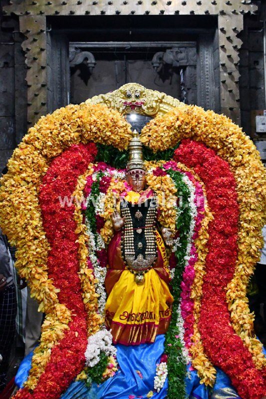 திருவண்ணாமலை அண்ணாமலையார் திருக்கோயில் ஆடி பிரம்மோற்சவம் பத்தாம் நாள் விழா !