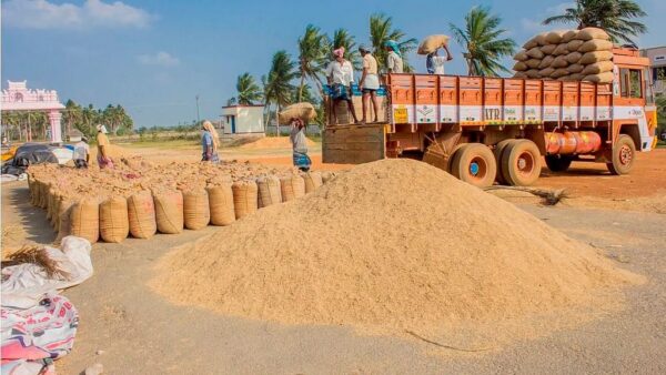 திருவண்ணாமலை மாவட்டத்தில் 27 நேரடி நெல் கொள்முதல் நிலையங்கள் திறப்பு!
