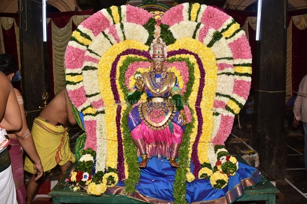 திருவண்ணாமலையில் அருள்மிகு ஸ்ரீ துர்க்கை அம்மன் திருவீதி உலா!