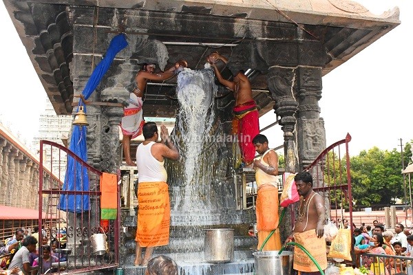 திருவண்ணாமலை அருணாச்சலேஸ்வரர் கோவிலில் பங்குனி மாத அமாவாசை பிரதோஷம்!