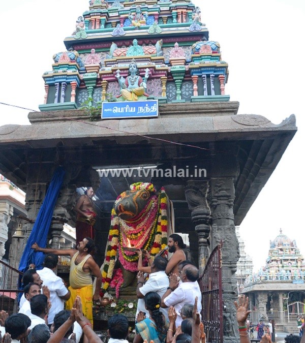 திருவண்ணாமலை அருணாச்சலேஸ்வரர் கோவிலில் சித்திரை மாத அமாவாசை பிரதோஷம்!