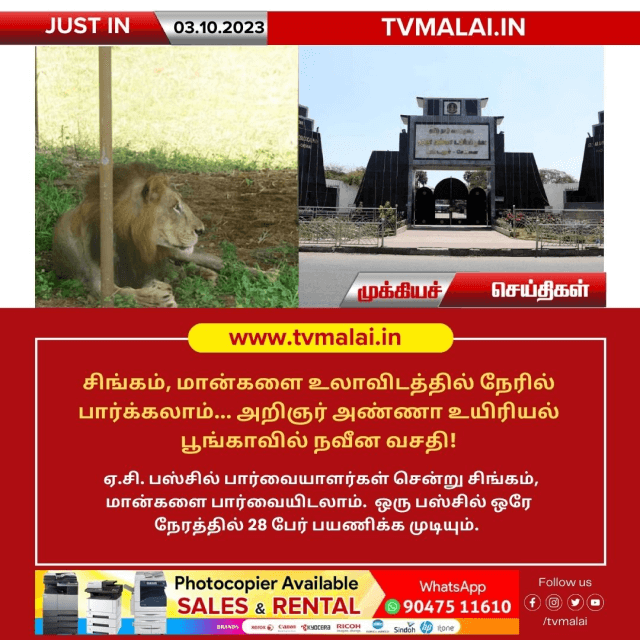 சிங்கம் ,மான் உலாவவிடத்தில் நேரில் பார்க்கலாம்… அறிஞர் அண்ணா உயிரியல் பூங்காவில் நவீன வசதி!