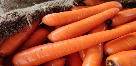 Can diabetics eat carrots – Health benefits diabetics can get by eating carrots!!