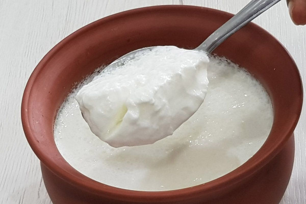 Eating curd during winters – Its advantages and disadvantages!!
