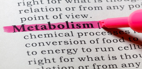 For increasing your metabolism, eat these compulsorily after your heavy meals!!