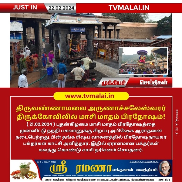 திருவண்ணாமலை அருணாச்சலேஸ்வரர் கோவிலில் மாசி மாத பௌர்ணமி பிரதோஷம்!