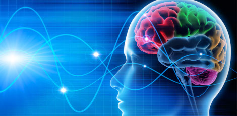 Do you know about these foods that can reduce the chances of getting Alzheimers Disease?