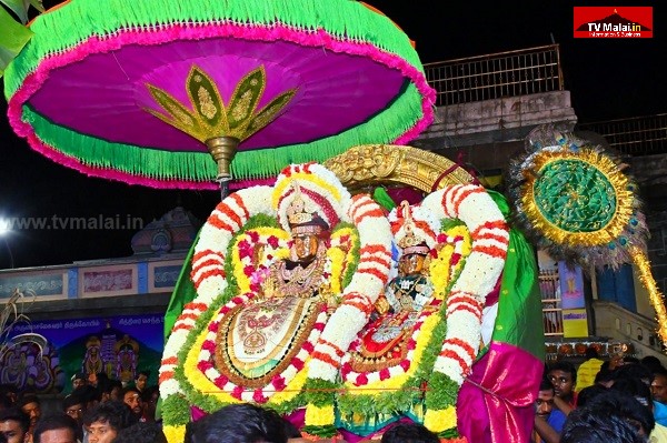 திருவண்ணாமலை அருள்மிகு அருணாசலேஸ்வரர் திருக்கோயில் சித்திரை வசந்த உற்சவம் – Day 9