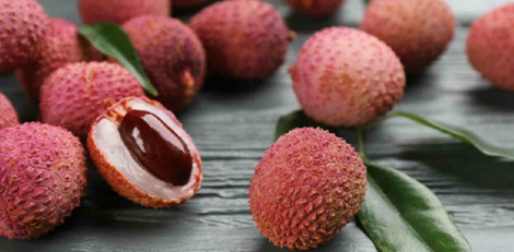 lychee-seeds7624