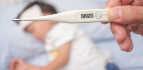 Fever can be useful for the body in these ways?