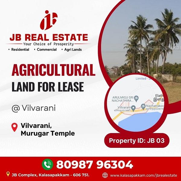 land-for-sale-jb3