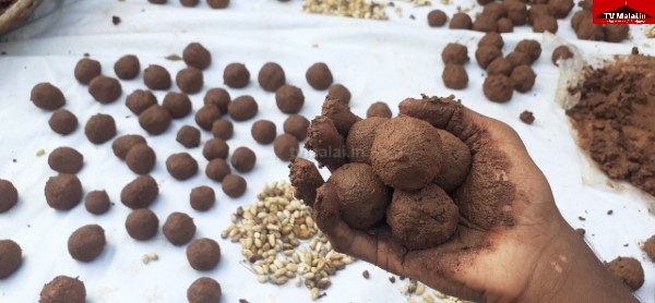 விதை பந்துகள் (Seed Balls) – இயற்கையின் பாதுகாப்பிற்கான புதிய வழி!