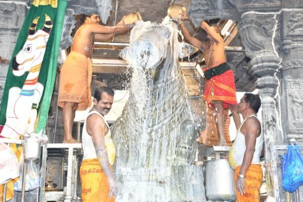 திருவண்ணாமலை அருணாச்சலேஸ்வரர் கோவிலில் பங்குனி மாத அமாவாசை பிரதோஷம்!