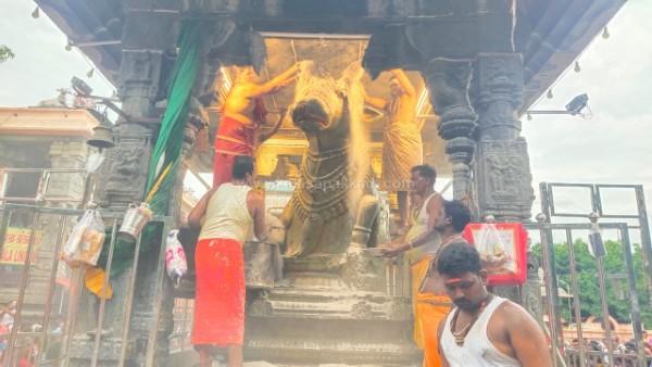 திருவண்ணாமலை அருணாச்சலேஸ்வரர் கோவிலில் ஆடி மாத அமாவாசை பிரதோஷம்!