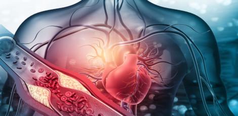 Are you aware of heart cancer, symptoms and risk factors etc?