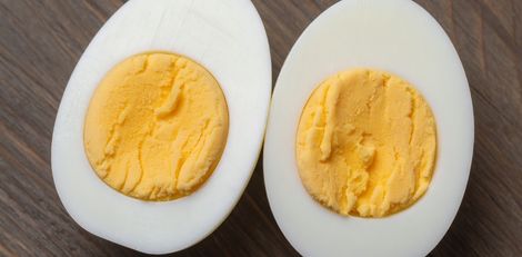 egg-250326