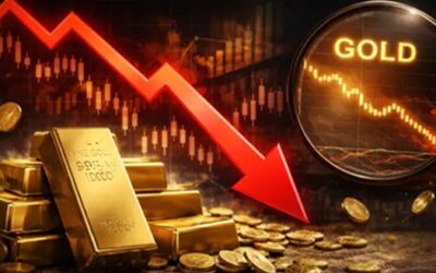 Chennai Gold Rate Today (June 11, 2026): 22K Gold Falls ₹300 Per Gram, Silver Steady