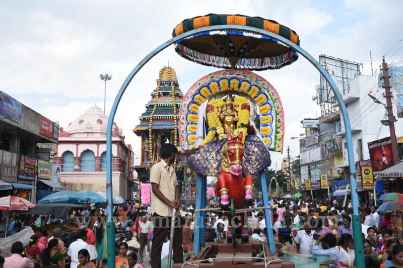 Karthigai Deepam Festival 2019 – Day 8 (Morning)