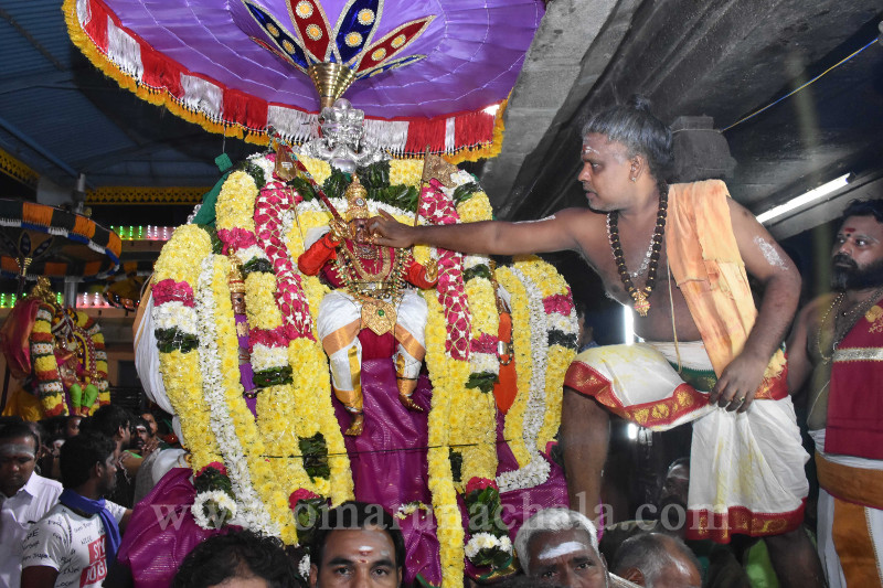 Karthigai Deepam Festival 2019 – Day 8 (Night)
