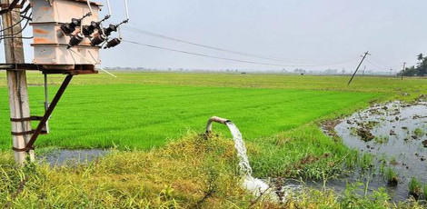 தமிழகத்தில் விவசாயத்துக்கான இலவச மின் விநியோக நேரம் மாற்றம்