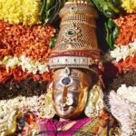 திருவண்ணாமலை கார்த்திகை தீபத் திருவிழா2021 : அண்ணாமலையார் கோயிலில் மகா தீபம் ஏற்றப்பட்டது திருவண்ணாமலை கார்த்திகை தீபத் திருவிழா2021 : அண்ணாமலையார் கோயிலில் மகா தீபம் ஏற்றப்பட்டது