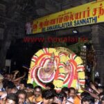 திருவண்ணாமலை கார்த்திகை தீபத் திருவிழா2021 : அண்ணாமலையார் கோயிலில் மகா தீபம் ஏற்றப்பட்டது திருவண்ணாமலை கார்த்திகை தீபத் திருவிழா2021 : அண்ணாமலையார் கோயிலில் மகா தீபம் ஏற்றப்பட்டது