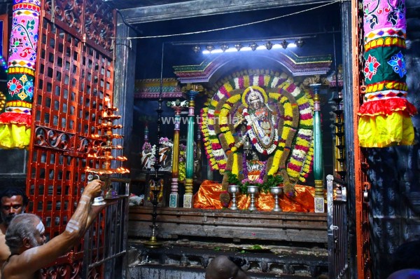 மாணிக்கவாசகர் உற்சவம் மூன்றாம் நாள் இரவு