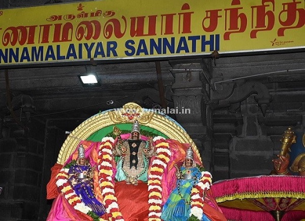 திருவண்ணாமலை அருள்மிகு அண்ணாமலையார் திருக்கோயில் தை கிருத்திகை !