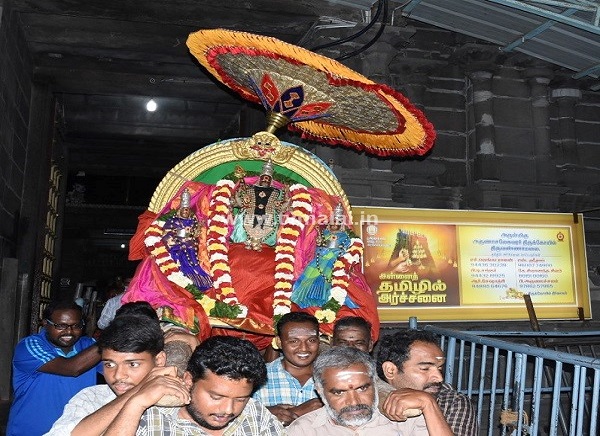 திருவண்ணாமலை அருள்மிகு அண்ணாமலையார் திருக்கோயில் தை கிருத்திகை !