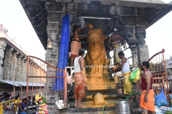 திருவண்ணாமலையில் அருணாச்சலேஸ்வரர் திருக்கோயில் பங்குனி மாத பௌர்ணமி பிரதோஷம்! திருவண்ணாமலையில் அருணாச்சலேஸ்வரர் திருக்கோயில் பங்குனி மாத பௌர்ணமி பிரதோஷம்!