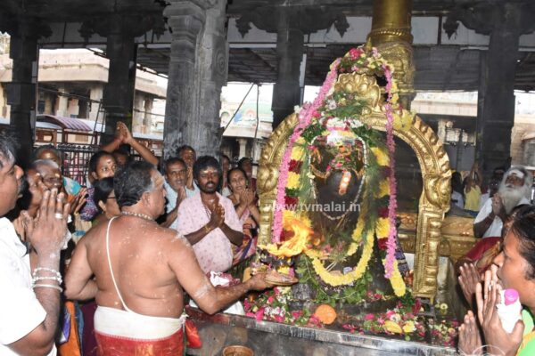 திருவண்ணாமலையில் அருணாச்சலேஸ்வரர் திருக்கோயில் பங்குனி மாத பௌர்ணமி பிரதோஷம்! திருவண்ணாமலையில் அருணாச்சலேஸ்வரர் திருக்கோயில் பங்குனி மாத பௌர்ணமி பிரதோஷம்!