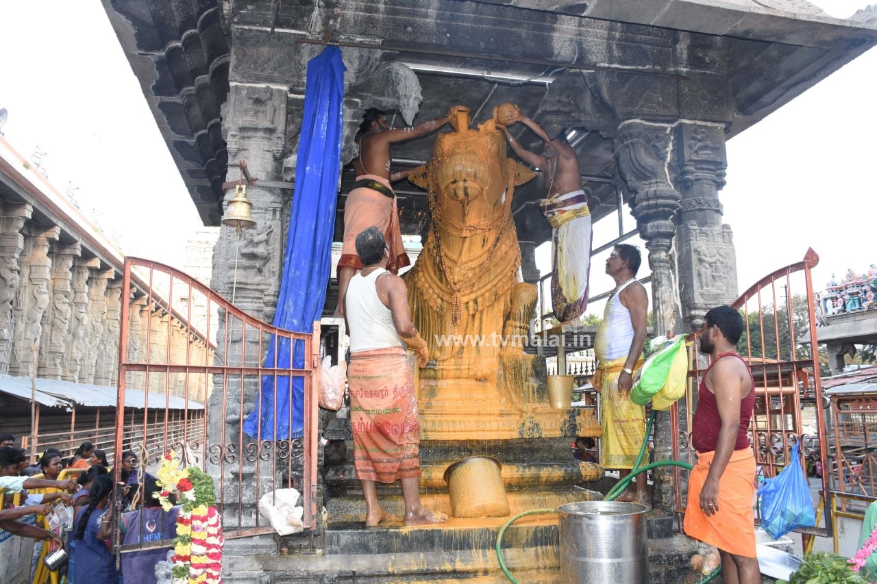 திருவண்ணாமலையில் அருணாச்சலேஸ்வரர் திருக்கோயில் பங்குனி மாத பௌர்ணமி பிரதோஷம்! திருவண்ணாமலையில் அருணாச்சலேஸ்வரர் திருக்கோயில் பங்குனி மாத பௌர்ணமி பிரதோஷம்!