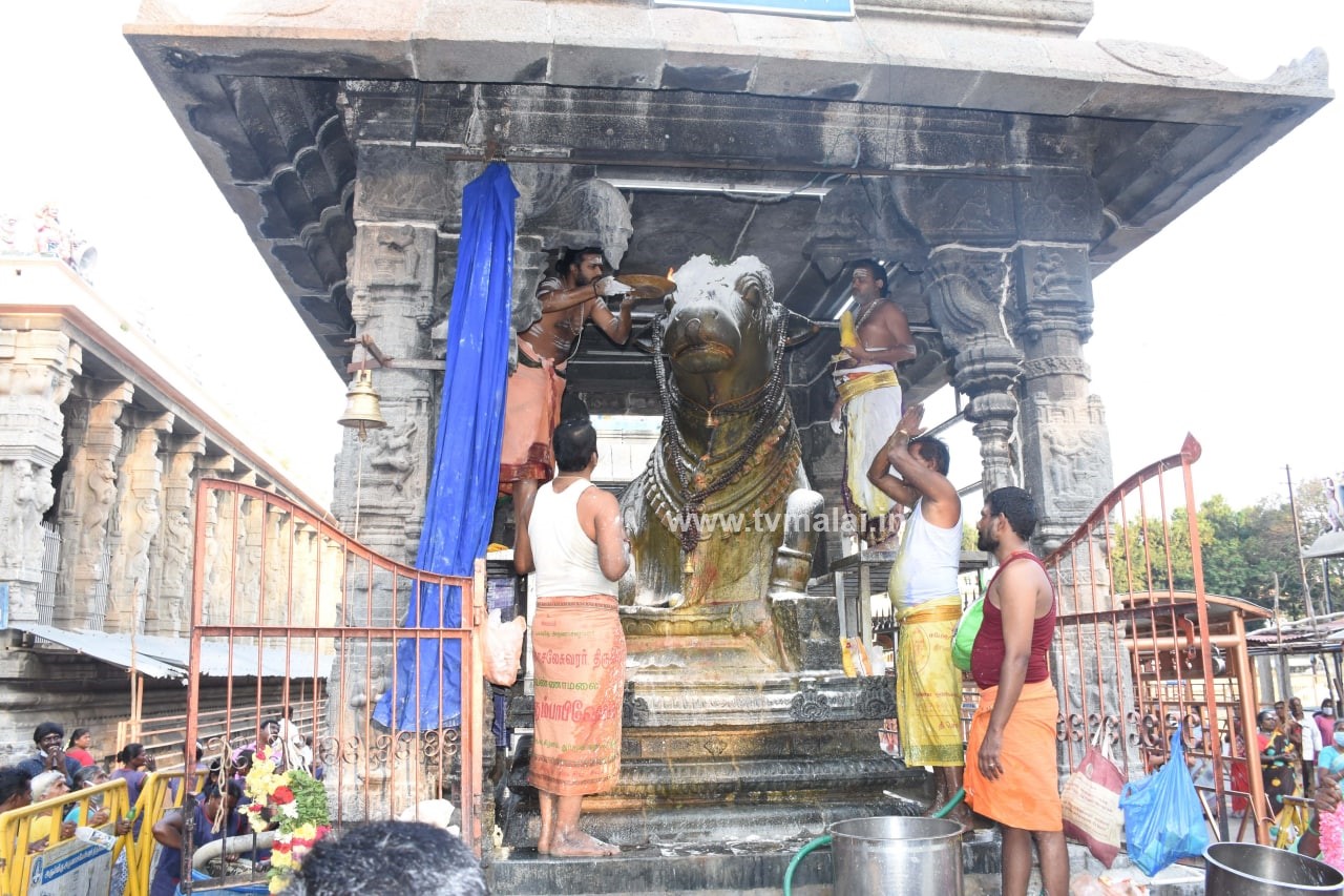 திருவண்ணாமலையில் அருணாச்சலேஸ்வரர் திருக்கோயில் பங்குனி மாத பௌர்ணமி பிரதோஷம்! திருவண்ணாமலையில் அருணாச்சலேஸ்வரர் திருக்கோயில் பங்குனி மாத பௌர்ணமி பிரதோஷம்!