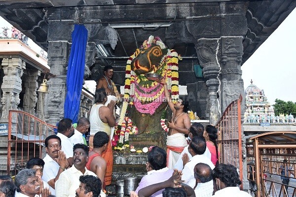 திருவண்ணாமலையில் அருணாசலேஸ்வரர் கோவில் பங்குனி மாத பிரதோஷம்! திருவண்ணாமலையில் அருணாசலேஸ்வரர் கோவில் பங்குனி மாத பிரதோஷம்!