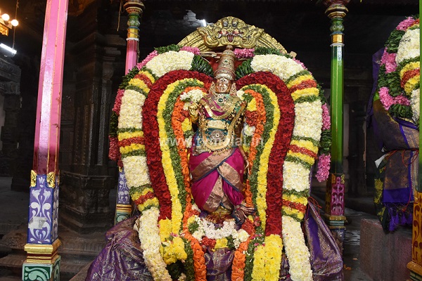 அருள்மிகு அருணாசலேசுவரர் திருக்கோயில் பங்குனி உத்திரம் திருக்கல்யாணம்!