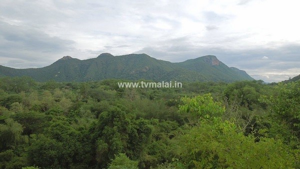 ஜவ்வாதுமலை அமிர்தி