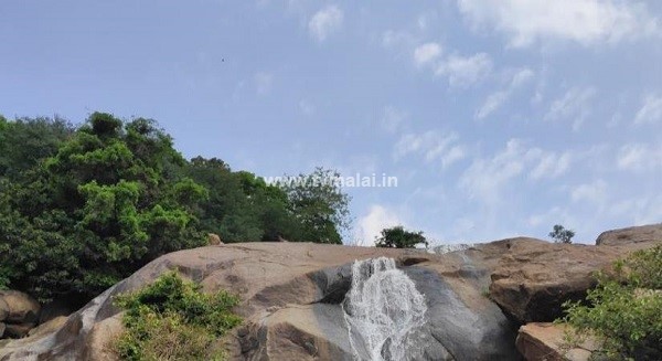 ஜவ்வாதுமலை அமிர்தி