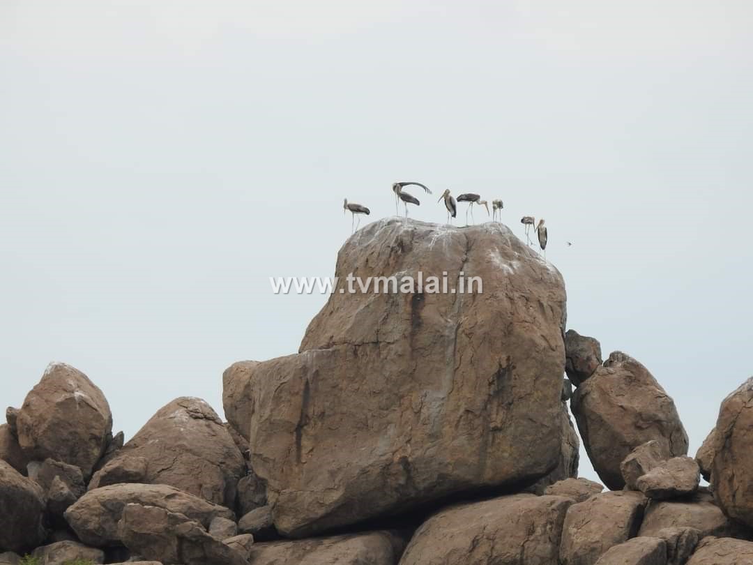 கீழ்நமண்டி பெருங்கற்கால பகுதி