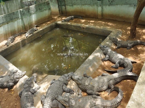 சாத்தனூர் அணை