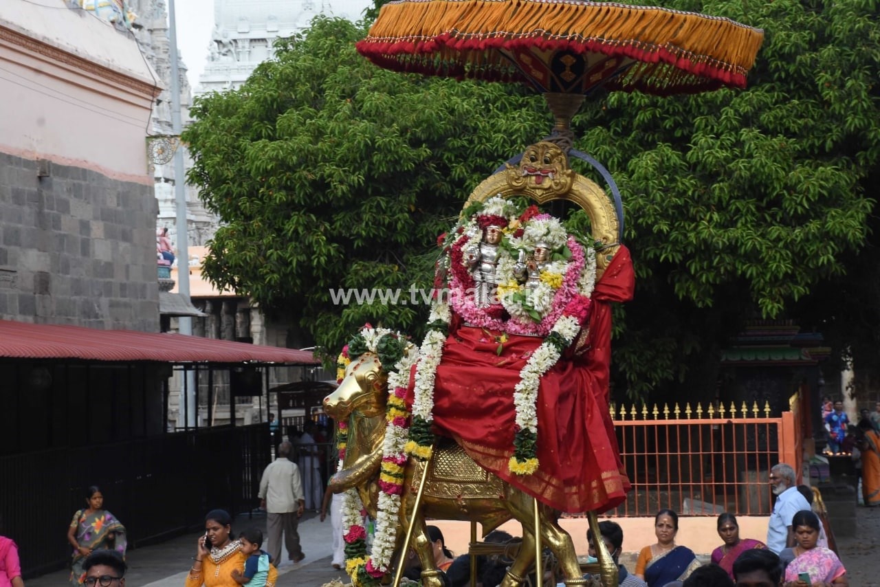 திருவண்ணாமலையில் அருணாச்சலேஸ்வரர் திருக்கோயில் சித்திரை மாத பிரதோஷம் திருவண்ணாமலையில் அருணாச்சலேஸ்வரர் திருக்கோயில் சித்திரை மாத பிரதோஷம்