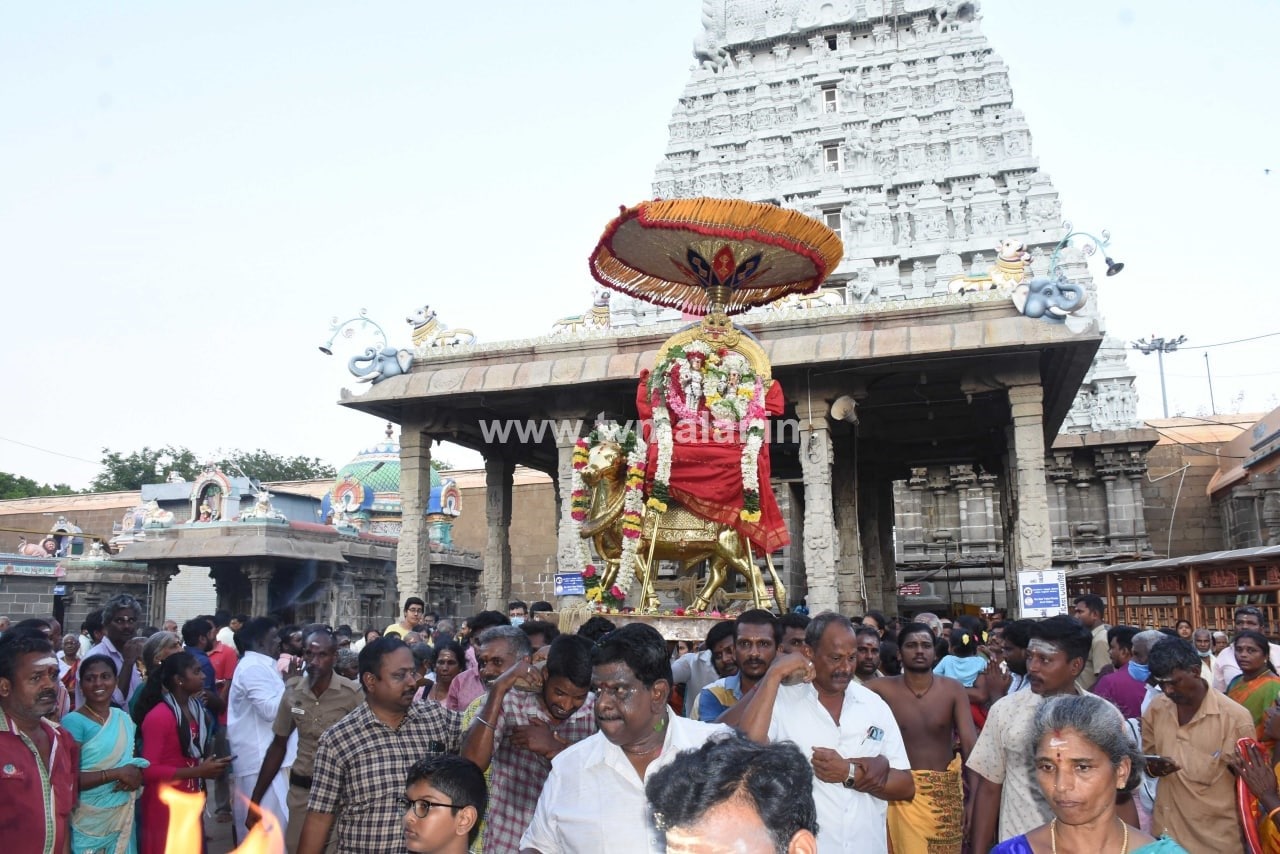 திருவண்ணாமலையில் அருணாச்சலேஸ்வரர் திருக்கோயில் சித்திரை மாத பிரதோஷம் திருவண்ணாமலையில் அருணாச்சலேஸ்வரர் திருக்கோயில் சித்திரை மாத பிரதோஷம்