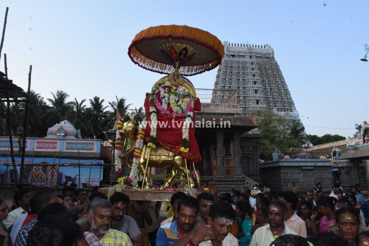 திருவண்ணாமலையில் அருணாச்சலேஸ்வரர் திருக்கோயில் சித்திரை மாத பிரதோஷம் திருவண்ணாமலையில் அருணாச்சலேஸ்வரர் திருக்கோயில் சித்திரை மாத பிரதோஷம்