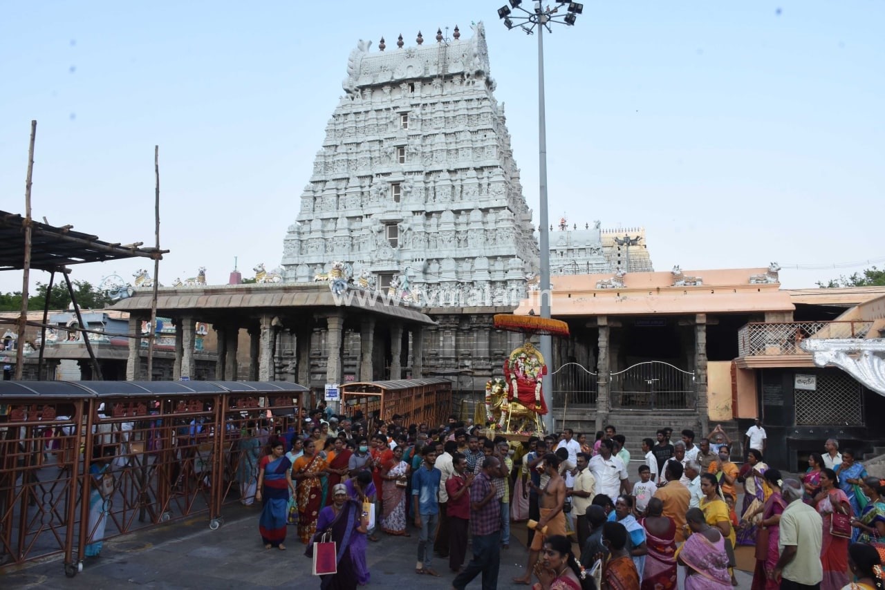 திருவண்ணாமலையில் அருணாச்சலேஸ்வரர் திருக்கோயில் சித்திரை மாத பிரதோஷம் திருவண்ணாமலையில் அருணாச்சலேஸ்வரர் திருக்கோயில் சித்திரை மாத பிரதோஷம்
