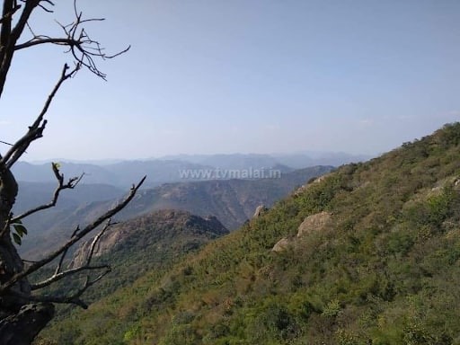 அத்திமூர் கோட்டை / பொத்தரை கோட்டை