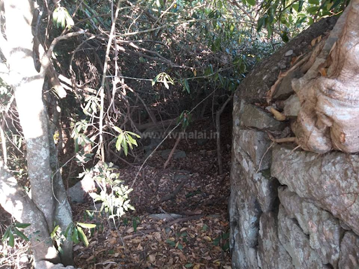 அத்திமூர் கோட்டை / பொத்தரை கோட்டை