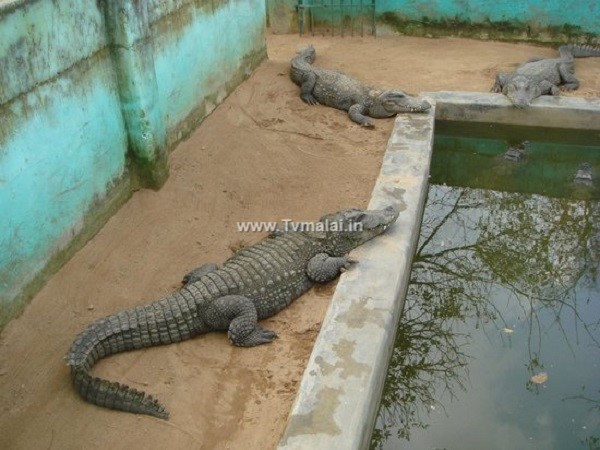 சாத்தனூர் அணை