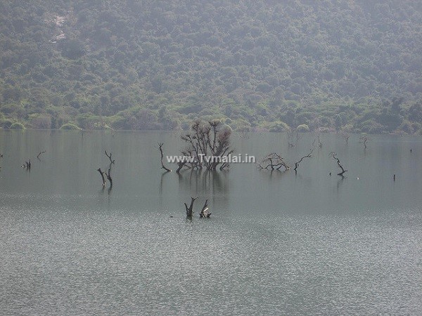 செண்பகத்தோப்பு அணை