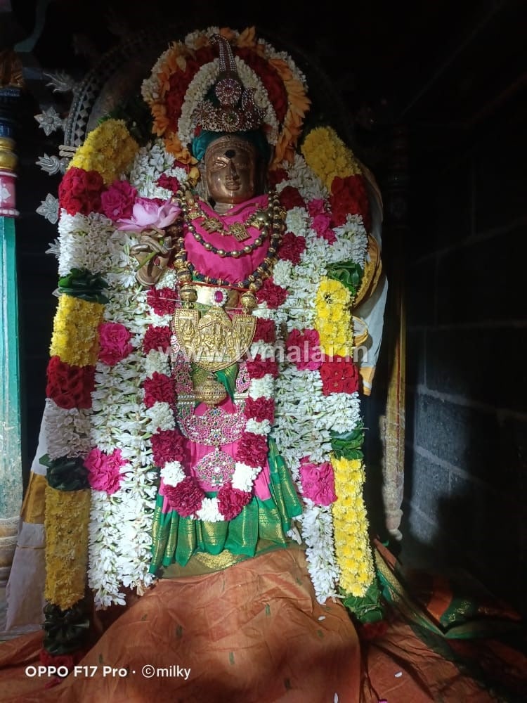 சித்திரை மாத திருவோண நட்சத்திரத்தை முன்னிட்டு நடராஜருக்கு சிறப்பு அலங்காரம்!