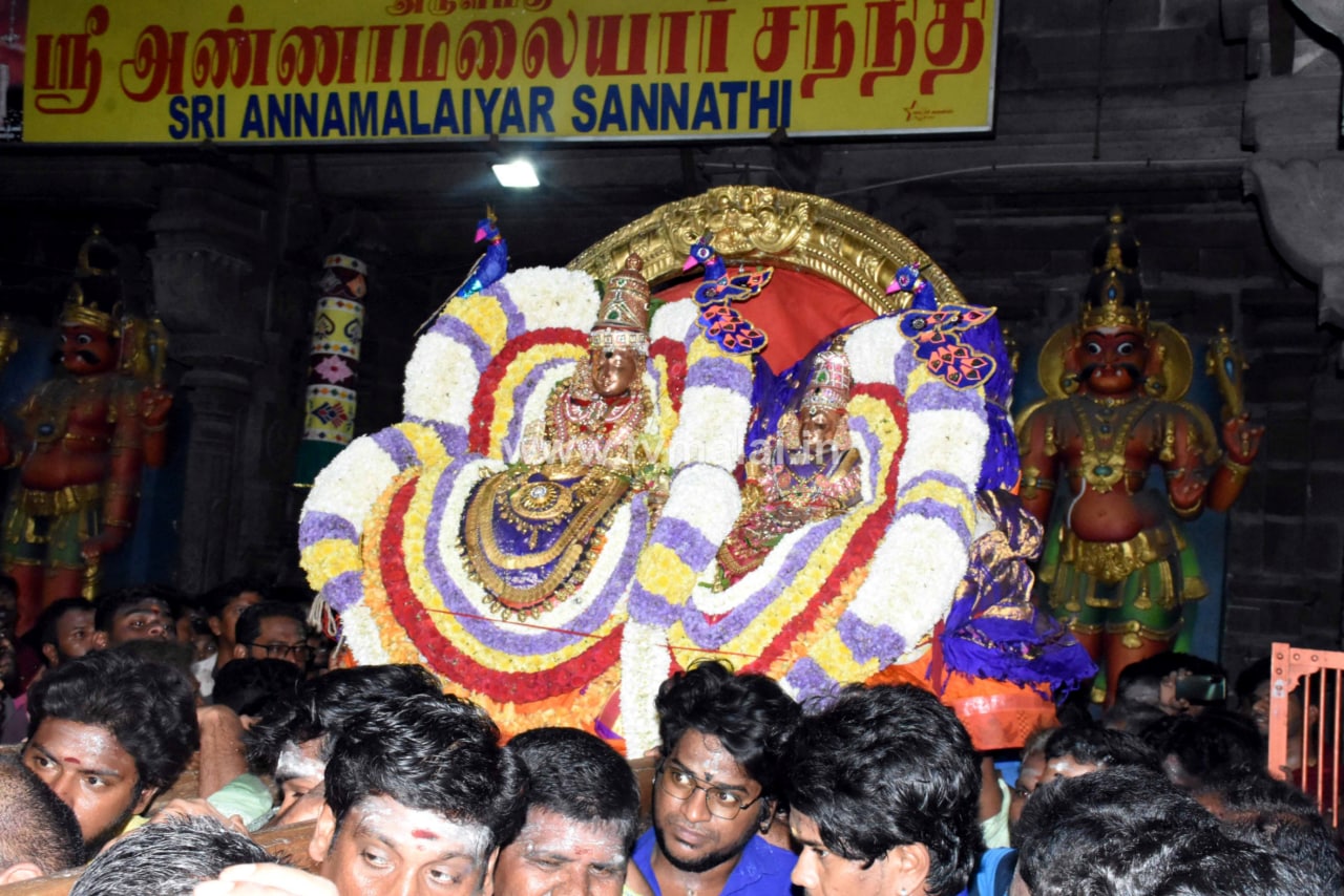திருவண்ணாமலை அருள்மிகு அருணாசலேஸ்வரர் திருக்கோயில் சித்திரை வசந்த உற்சவம்-Day 3 திருவண்ணாமலை அருள்மிகு அருணாசலேஸ்வரர் திருக்கோயில் சித்திரை வசந்த உற்சவம்-Day 3